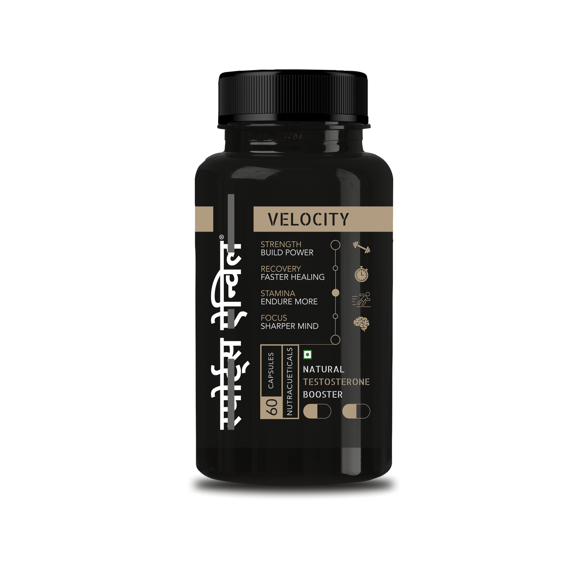 VELOCITY